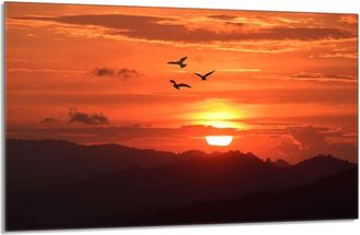 OEM Placa Protectora De Vidrio Para Estufa 80x52 Sol