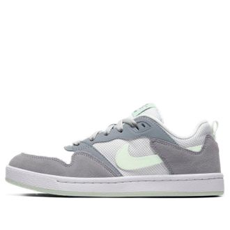 Nike (WMNS) Nike SB Alleyoop Grey White CQ0369-002