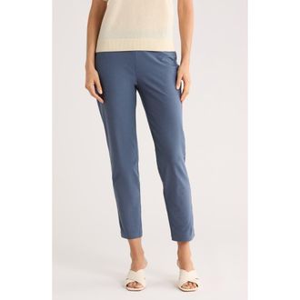 Eileen Fisher Slim Ankle Pants in Eclipse at Nordstrom Rack, Size Medium