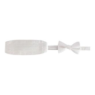 Trafalgar Store Banbury Tone on Tone Paisley Silk Cummerbund & Bow Tie Bundle in White at Nordstrom