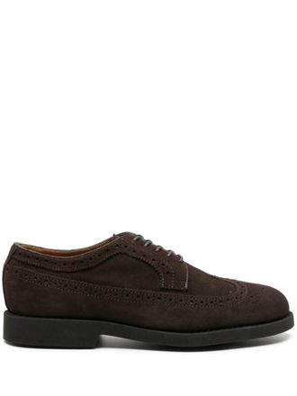 Sebago Brogues Canton - Marrone