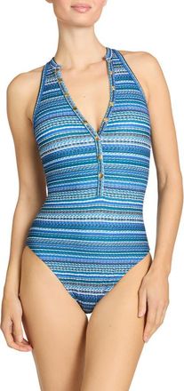 Robin Piccone Emilia Snap One-Piece Swimsuit in Lapis Multi at Nordstrom, Size 12