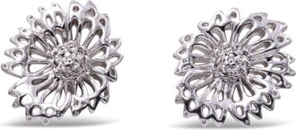 Kendra Scott Brielle Stud Earrings
