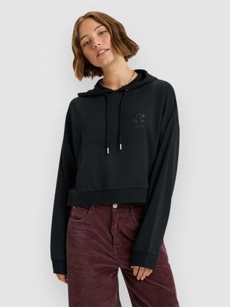 Roxy Surfing By Daylight Hoodie grau