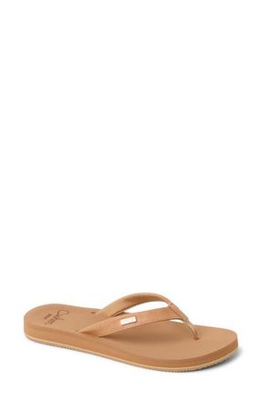 Reef Baja Sands Flip Flop in Almond at Nordstrom, Size 6
