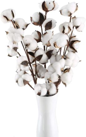 OEM Flores De Algod&oacute;n Natural, 10 Cabezas, Tallos De Algod&oacute;n Natural, Flores De Algod&oacute;n Artificiales Secas, Flores De Algod&oacute;n Falsas, Decoraci&oacute;n De Ramas 