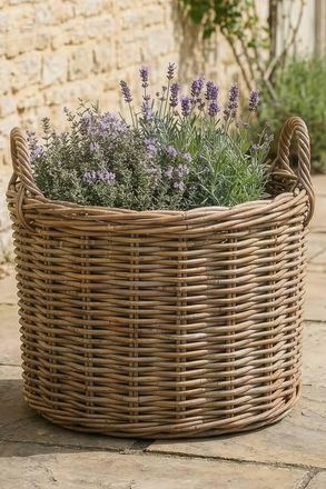 Dibor Traditional Oval Large Indoor Planter Basket with Handles in Natural