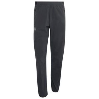ADIDAS TERREX Xperior Light Pants Trekkinghose f&uuml;r Herren | grau