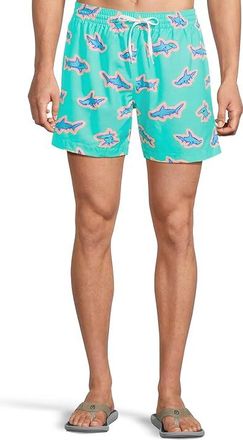 Chubbies The Apex Swimmers 5.5 (Lined Classic Swim Trunk) Mens Swimwear Sets Mint - Pattern Based : 2XL, Polyester/Spandex