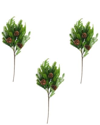 Creative Displays Inc. Set Of 3 Norfolk Spruce Juniper Spray