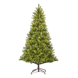 Black Box Trees Nagoya verde h240xb138xl138cm