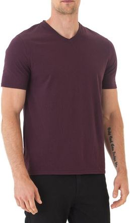 Threads 4 Thought V-Neck Slub T-Shirt in Ultra Maroon at Nordstrom, Size Xx-Large