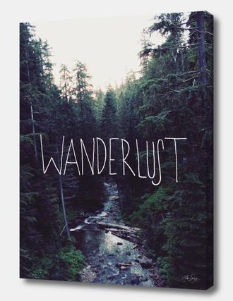 Curioos Wanderlust Rainier Creek