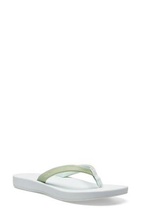 Sanuk Cosmic Shores Water Friendly Flip Flop in Laurel Green/Spa Blue at Nordstrom, Size 10