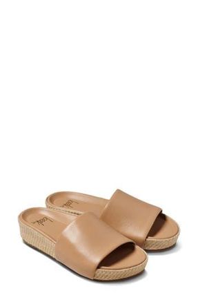 beek Pelican Jute Slide Sandal in Beach at Nordstrom Rack, Size 10