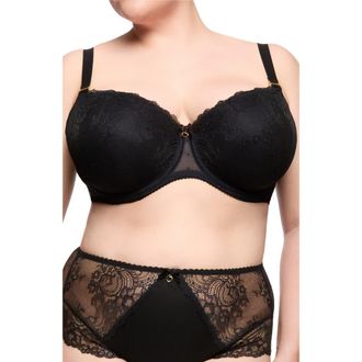 Dita Von Teese Fiamma Full Figure Molded Bra in Black at Nordstrom, Size 40F