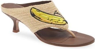 Farm Rio Icons Raffia Kitten Heel Flip Flop in Walnut Banana at Nordstrom, Size 9.5