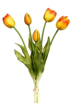 Mark Roberts Blooming Tulip Bunch of 5, 6 Bunches Total in Orange at Nordstrom