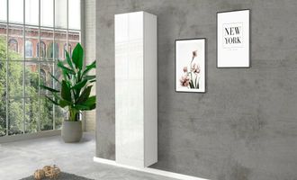 Dmora Dmora - Armario Multiusos Dgrassi, Zapatero Con 1 Puerta Y 4 Estantes, Mueble Multifuncional, 100% Made In Italy, Cm 40x30h180, Blanco Brillante