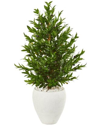 Nearly Natural 3.5Ft Olive Cone Topiary Uv-Resistant Artificial Tree In Planter (Indoor/Outdoor)