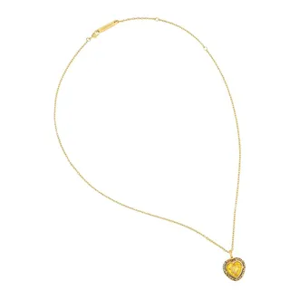 AMBUSH Ambush, Accessoires, Dames, Geel, ONE Size, Necklaces