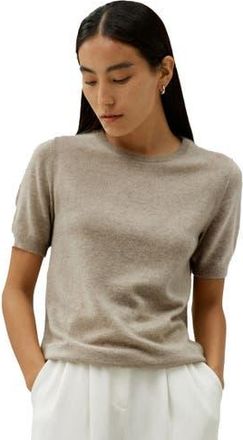 LilySilk Crew Neck Basic Knit Top in Camel at Nordstrom, Size X-Small