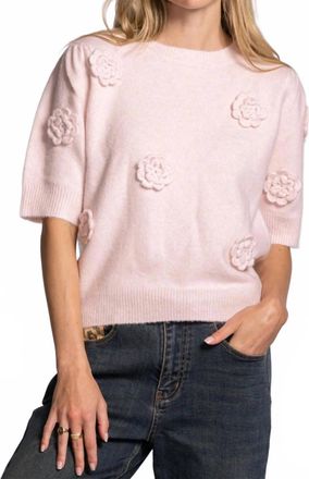 Pink Martini Roslyn Sweater In Pink