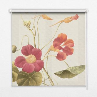 Tulup Tenda A Rullo Interna Per Finestra - Tenda Filtrante Luce - Tenda Privacy - Tenda Decorativa Rettangolare - Rullo Per Interni - (130 Cm X 140 Cm) - Fi