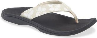 Olukai Ohana Flip Flop in Tapa /Pua at Nordstrom, Size 11