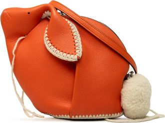 Loewe Pre-owned Loewe Mini Calfskin Stitched Bunny Crossbody Ladies BDDQAUCQUCWJHRQ9