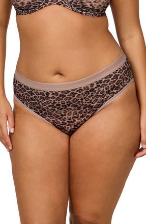 Curvy Couture No-Show Lace High Cut Panties in Leopard Lush at Nordstrom, Size X-Large