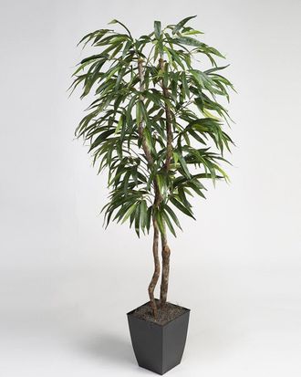 D&W Silks Inc 6Ft Weeping Ficus Tree In Square Metal Planter