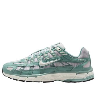 Nike (WMNS) Nike P-6000 Cannon Platinum Tint BV1021-010