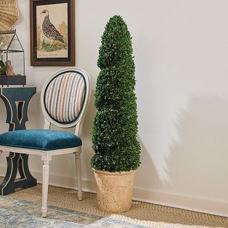 Ballard Designs Preserved Boxwood Potted Twist Tree - Ballard Designs