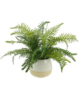 Creative Displays Inc. Green River Fern Arrangement