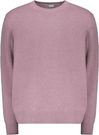 Herno Heren, Truien, Roze, Maat: XL Kasjmier