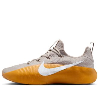 Nike LeBron TR 1 Cream Gold Leaf White FJ6151-202