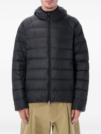 Pyrenex Gewatteerde jas met capuchon - Zwart