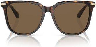 Swarovski 55mm Square Sunglasses in Dark Havana /Brown at Nordstrom