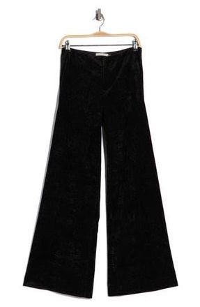 Alice & Olivia Conor Velvet Wide Leg Pants in Black at Nordstrom Rack, Size 10