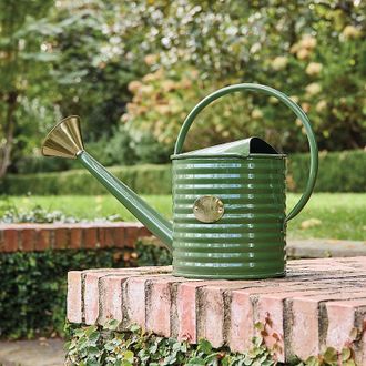 Ballard Designs Marigold Watering Can - Ballard Designs