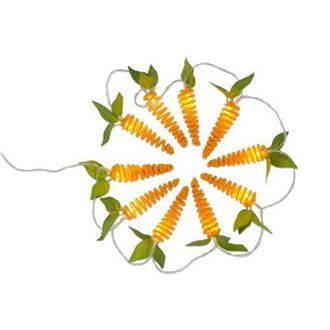 Tag Carrot String Lights LED Indoor Home Decor With Timer in Orange at Nordstrom