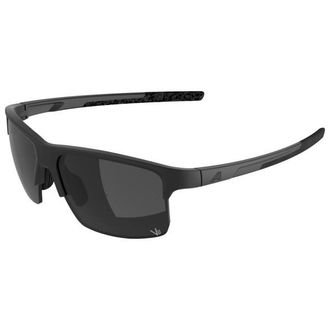Alpina Eagle Q-Lite Mirror S3 Sonnenbrille - Unisex | grau