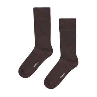 Wolford Donna, Mutande, Marrone, S, new