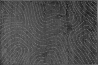 vidaXL Alfombra Para Interiores Y Exteriores Palmeras Antracita Vidaxl