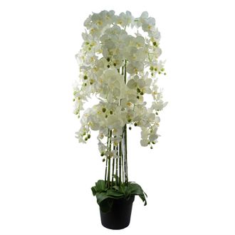 Leaf 150cm Giant White Orchid Plant - Artificial - 189 flowers REAL TOUCH in Green