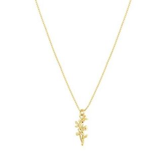 Set & Stones Elsie Birth Flower Necklace in Gold /December at Nordstrom