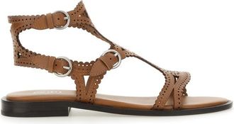 Ash Sandalwood paprika