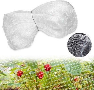 OEM Malla Antip&aacute;jaros (1 Pieza) - Malla De Jard&iacute;n De Nailon - Protecci&oacute;n De Cultivos - Tama&ntilde;o De La Malla: 25 Mm - Art&iacute;culos De Jardiner&iacute;a - Protecci&oacute;n Co