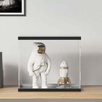 vidaXL Vidaxl - Furniture Limited - Caja de exposición acrílico transparente